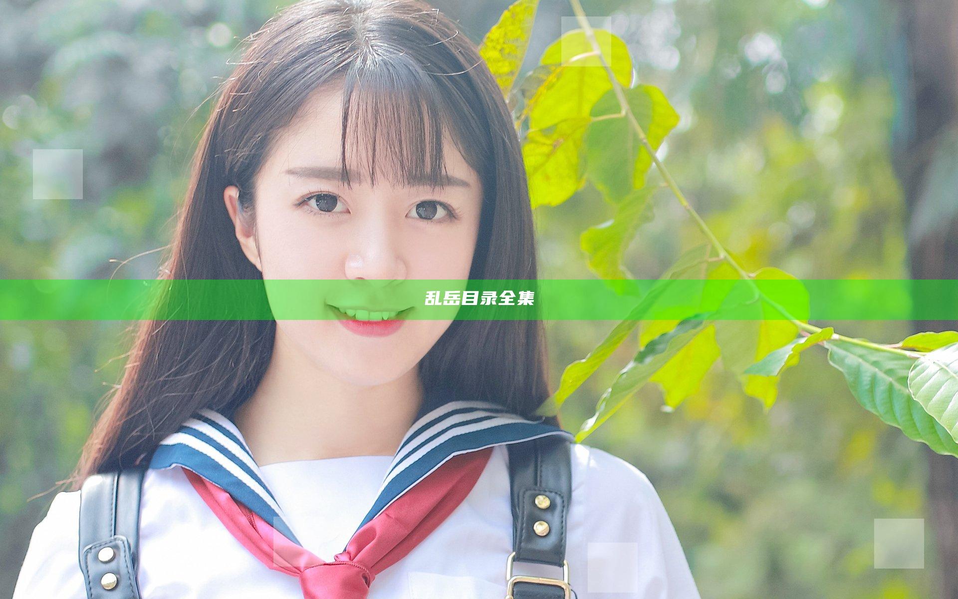 乱岳目录全集