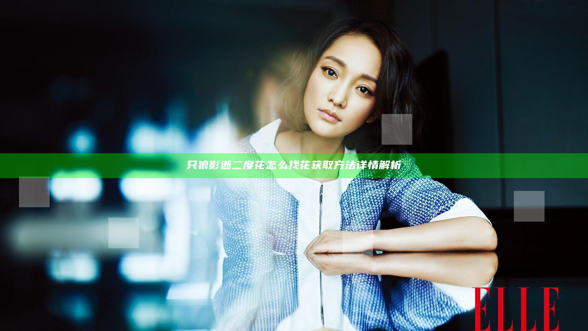 只狼影逝二度花怎么找 花获取方法详情解析