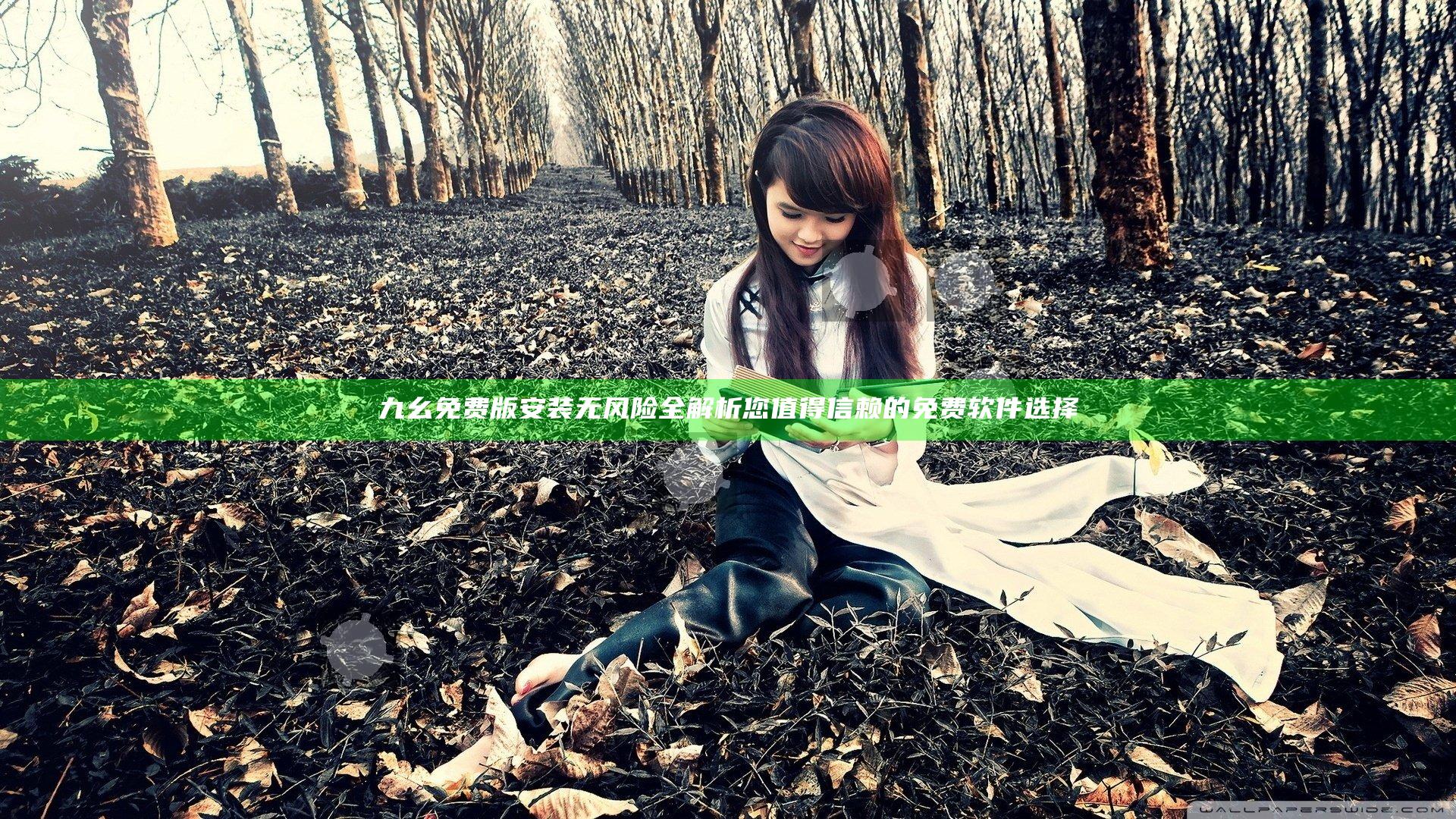 九幺免费版安装无风险全解析 您值得信赖的免费软件选择