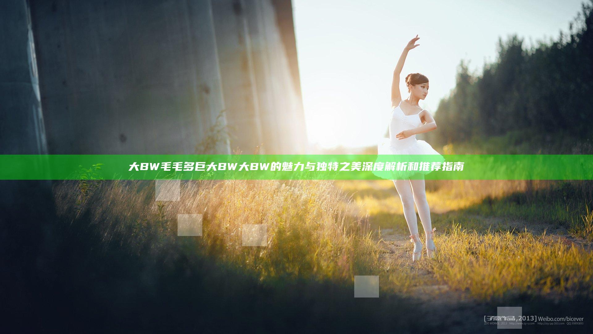 大BW毛毛多巨大BW大BW的魅力与独特之美深度解析和推荐指南